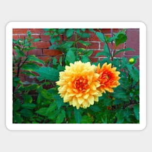 Village Street Flowers and Bricks Sticker